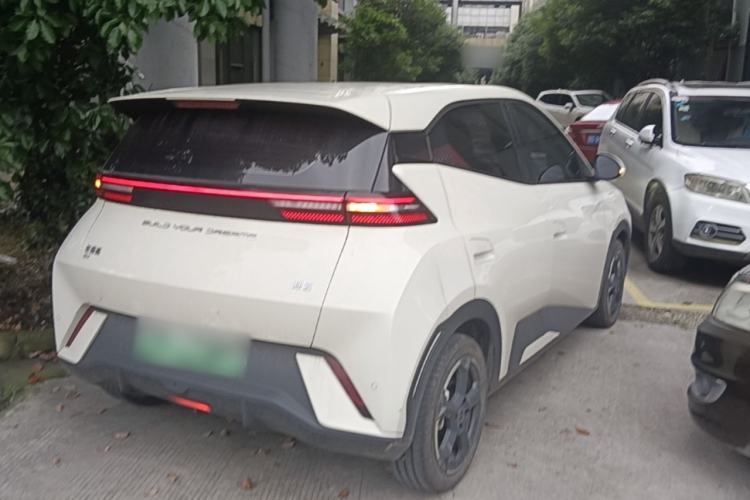 Used BYD Seagull 2023 Free Edition Rear Right 45 Deg