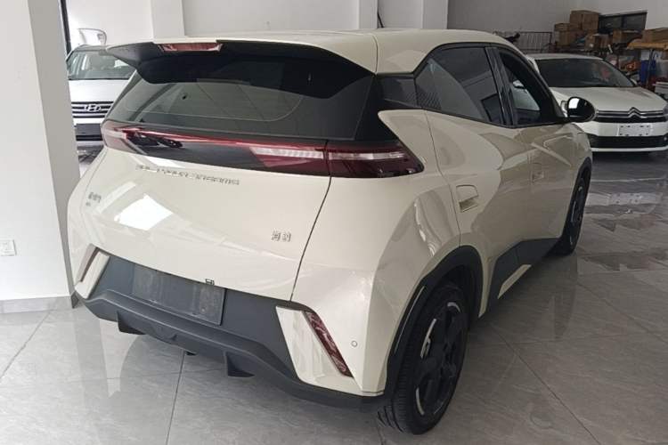 Used BYD Seagull 2023 Flying Edition Rear Right 45 Deg