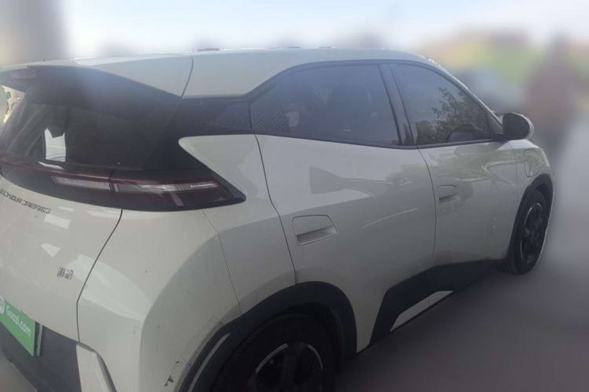 Used BYD Seagull 2023 Flying Edition Rear Right 45 Deg