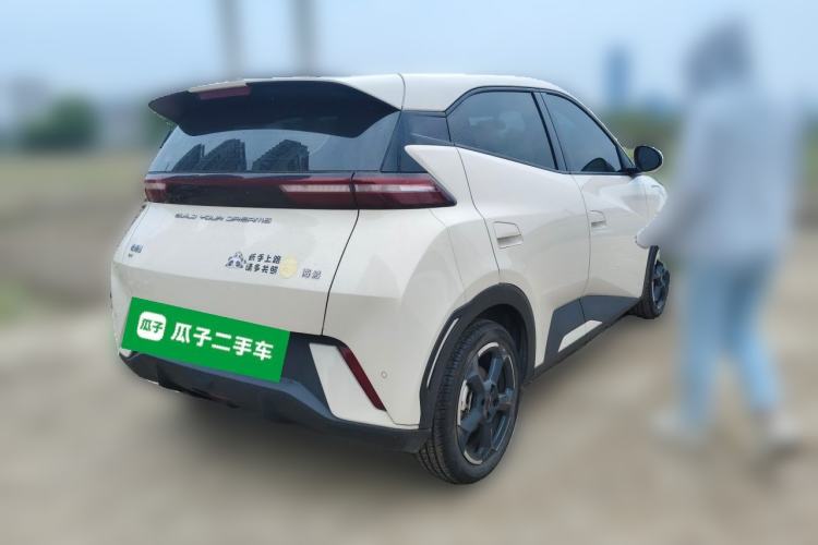 Used BYD Seagull 2023 Flying Edition Rear Right 45 Deg