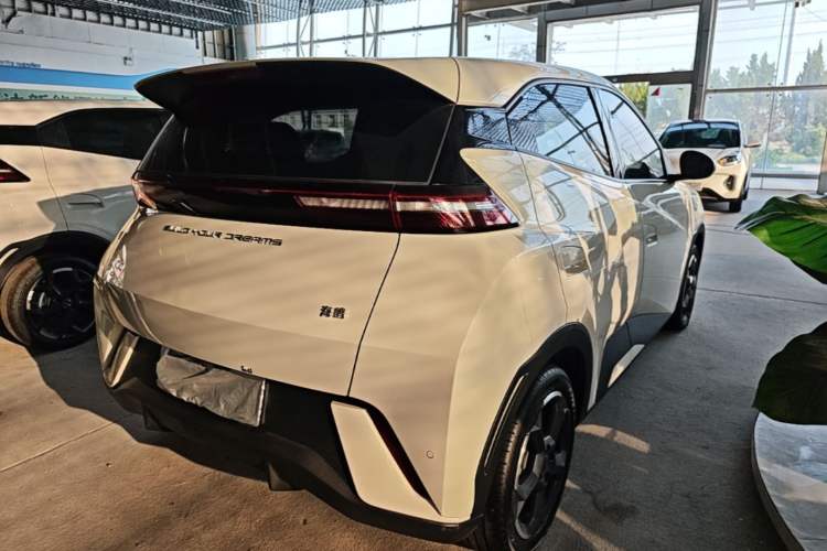 Used BYD Seagull 2023 Free Edition Rear Right 45 Deg