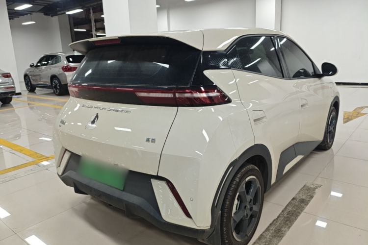 Used BYD Seagull 2023 Free Edition Rear Right 45 Deg