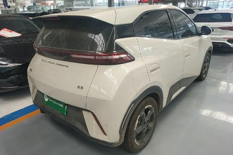 Used BYD Seagull 2023 Free Edition Rear Right 45 Deg