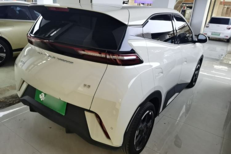 Used BYD Seagull 2023 Flying Edition Rear Right 45 Deg