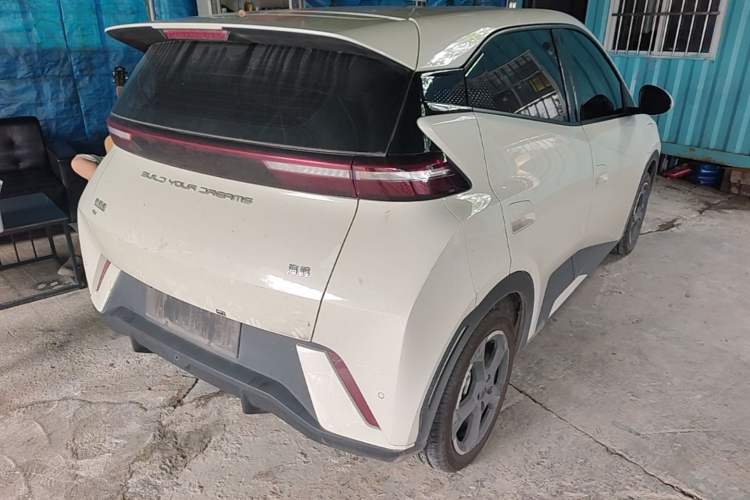 Used BYD Seagull 2023 Flying Edition Rear Right 45 Deg