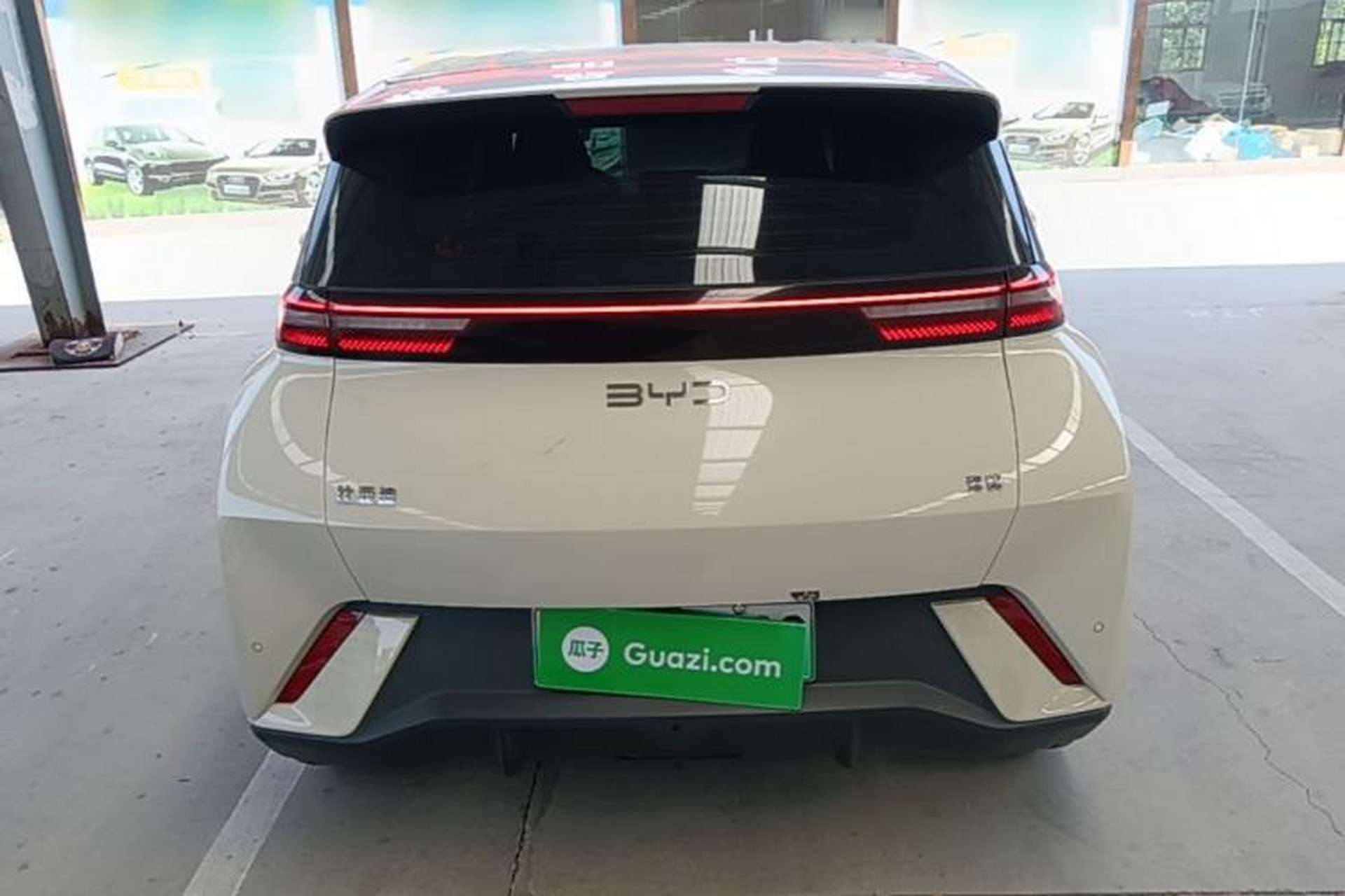 Used BYD Seagull 2023 Active Version Rear