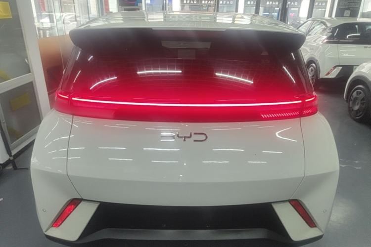 Used BYD Seagull 2023 Free Edition Rear