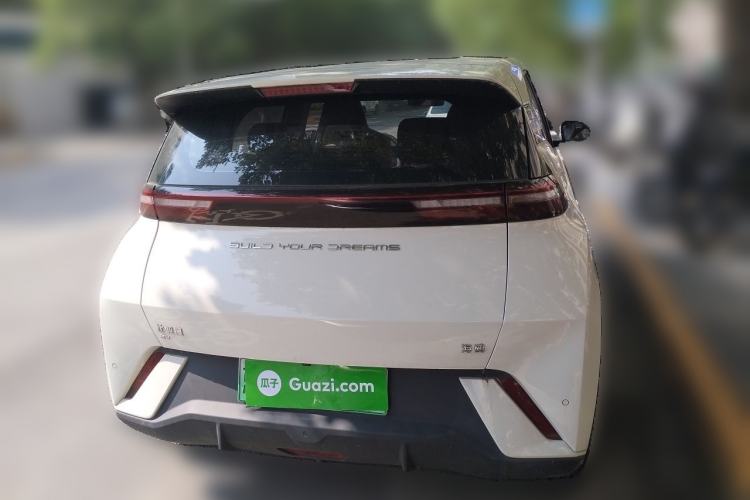 Used BYD Seagull 2023 Flying Edition Rear
