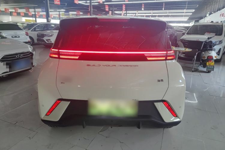 Used BYD Seagull 2023 Free Edition Rear