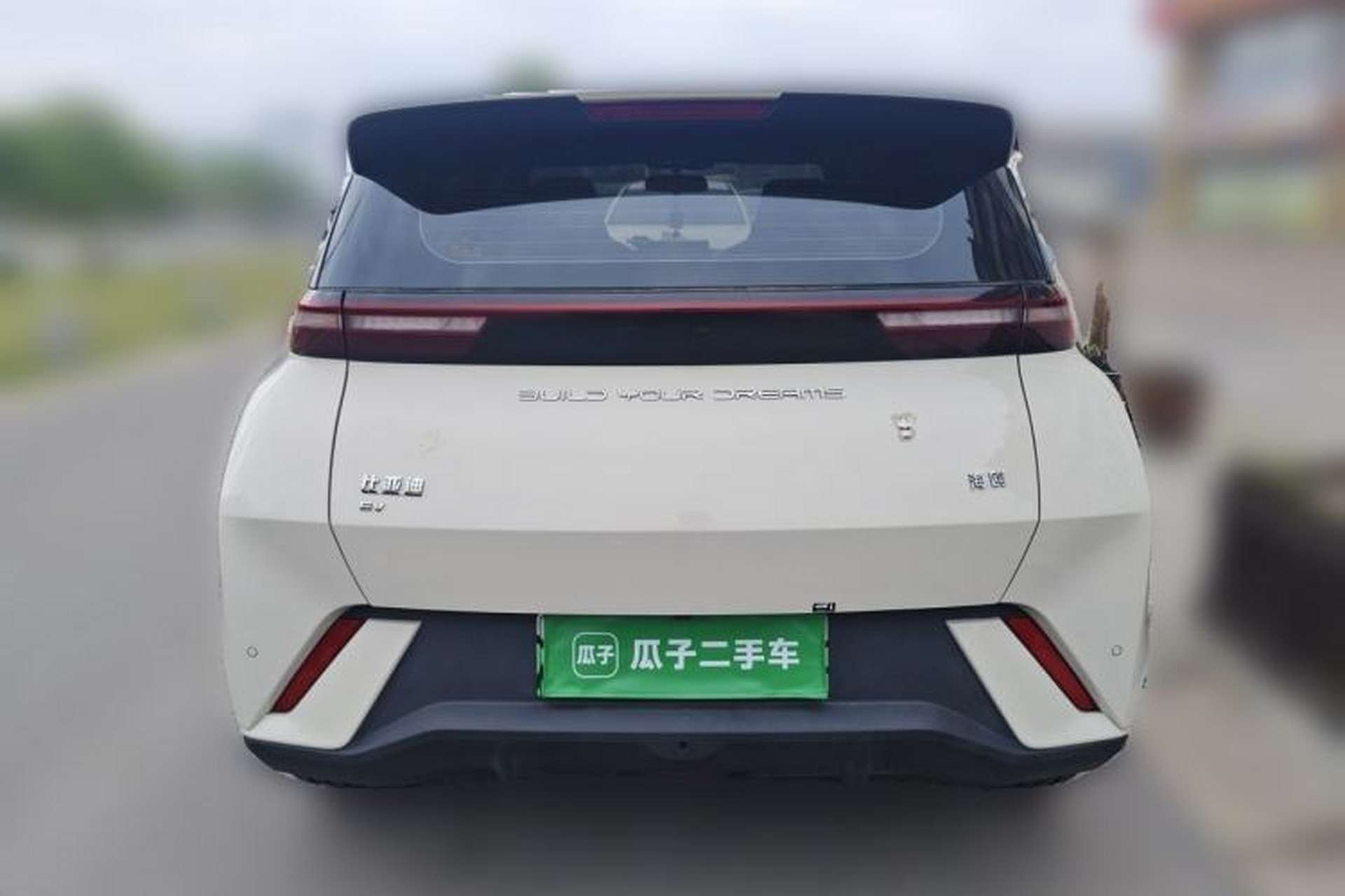 Used BYD Seagull 2023 Free Edition Rear