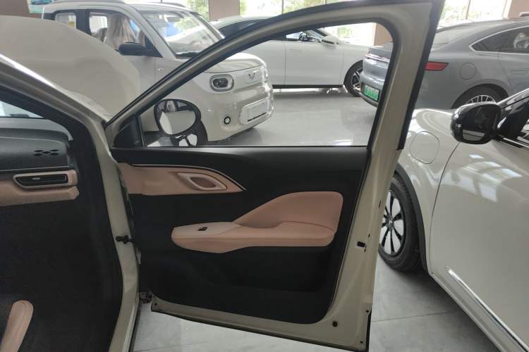 Used BYD Seagull 2023 Free Edition Right Front Door Interior