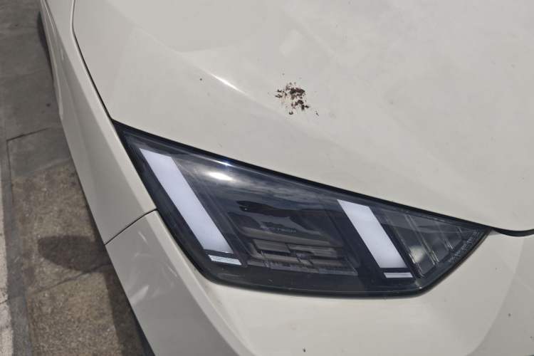 Used BYD Seagull 2023 Free Edition Right Front Headlight