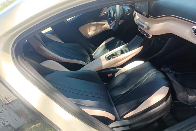 Used BYD Seagull 2023 Active Version Right Front Seat