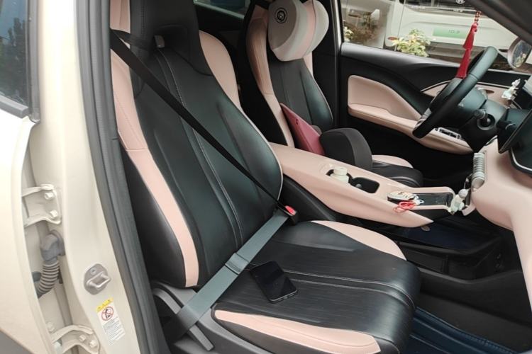 Used BYD Seagull 2023 Flying Edition Right Front Seat