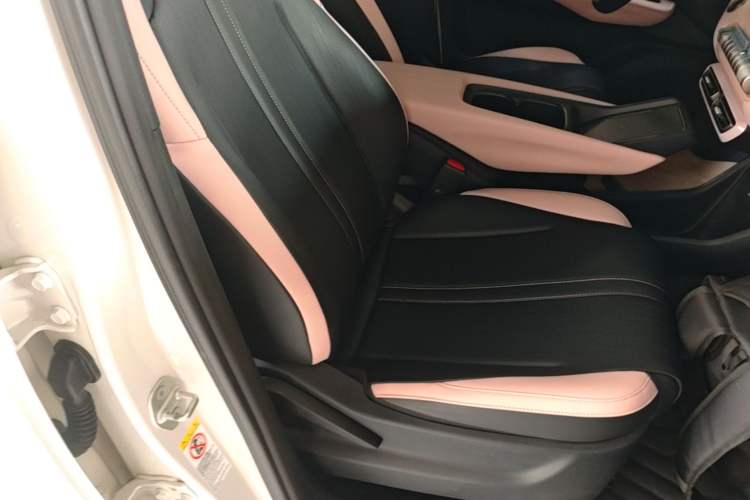 Used BYD Seagull 2023 Flying Edition Right Front Seat