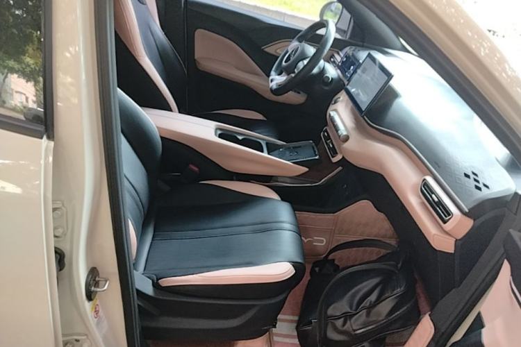 Used BYD Seagull 2023 Flying Edition Right Front Seat
