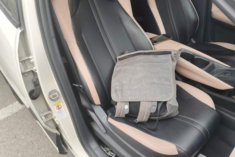 Used BYD Seagull 2023 Flying Edition Right Front Seat