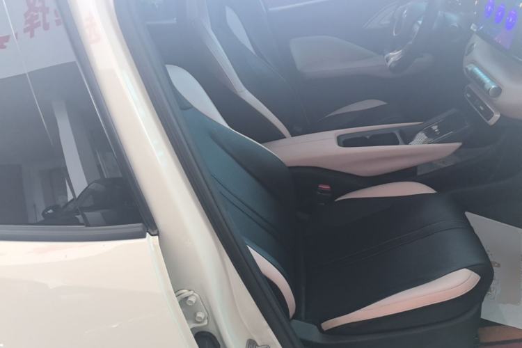 Used BYD Seagull 2023 Free Edition Right Front Seat