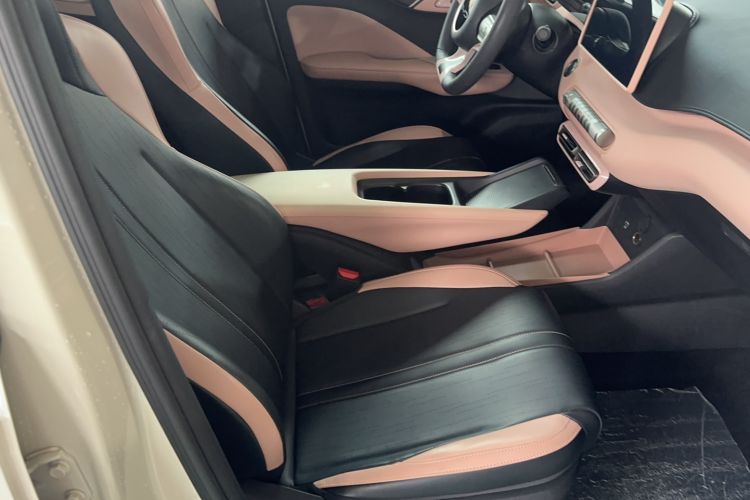 Used BYD Seagull 2023 Active Version Right Front Seat
