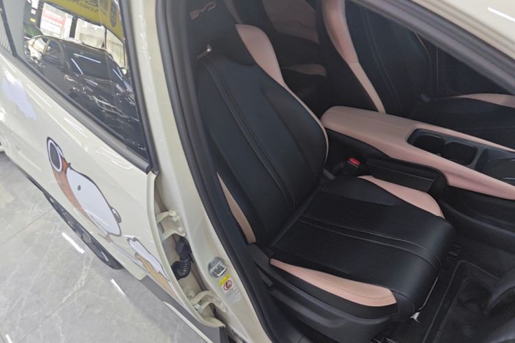 Used BYD Seagull 2023 Flying Edition Right Front Seat