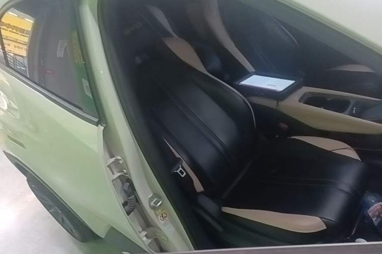 Used BYD Seagull 2023 Flying Edition Right Front Seat