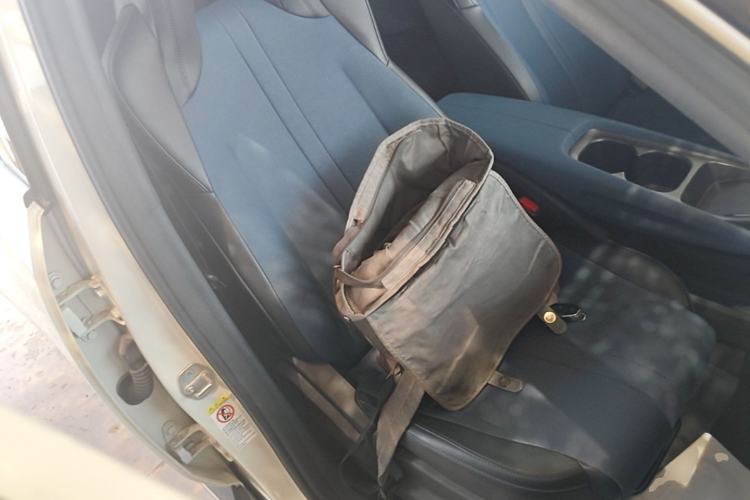 Used BYD Seagull 2023 Flying Edition Right Front Seat