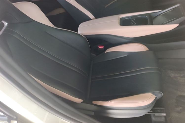 Used BYD Seagull 2023 Free Edition Right Front Seat
