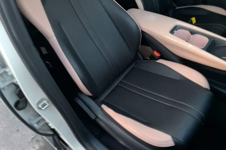 Used BYD Seagull 2023 Free Edition Right Front Seat
