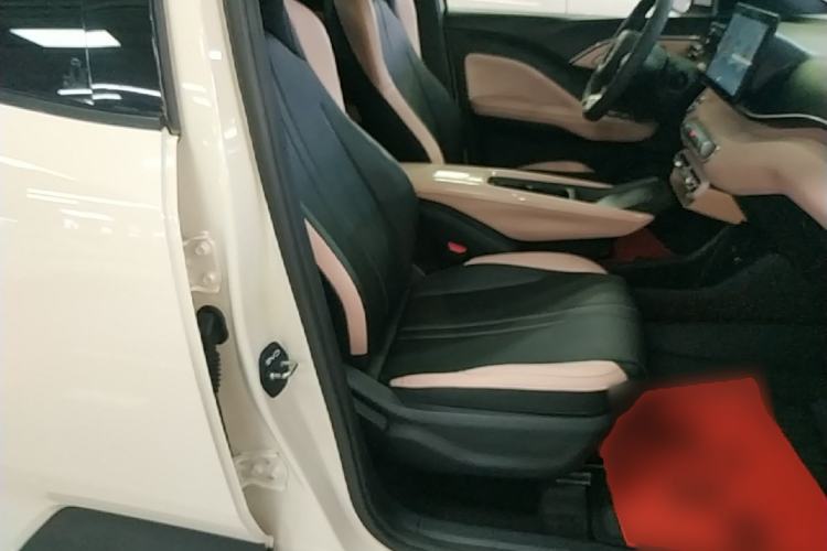 Used BYD Seagull 2023 Active Version Right Front Seat