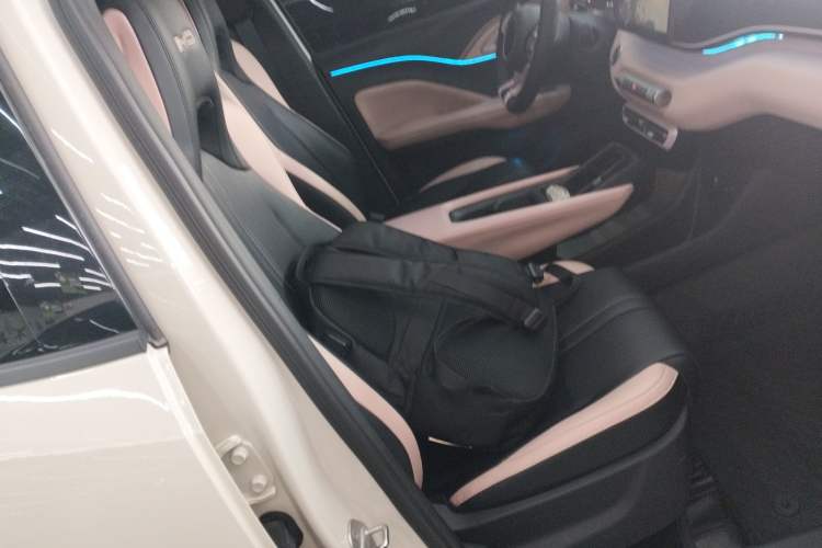 Used BYD Seagull 2023 Flying Edition Right Front Seat