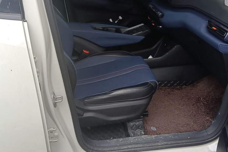 Used BYD Seagull 2023 Free Edition Right Front Seat