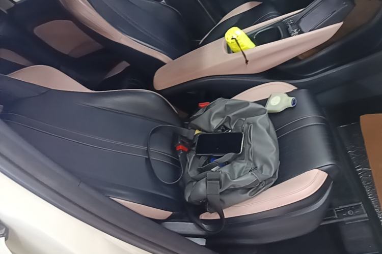 Used BYD Seagull 2023 Free Edition Right Front Seat