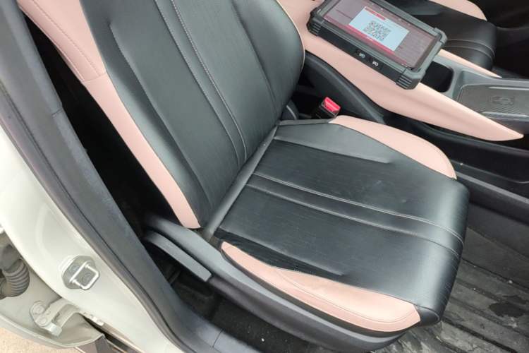 Used BYD Seagull 2023 Free Edition Right Front Seat