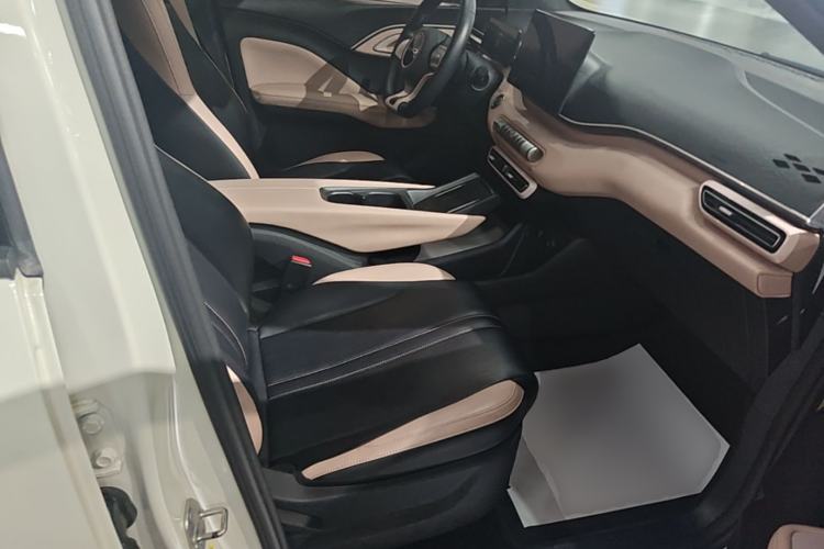 Used BYD Seagull 2023 Flying Edition Right Front Seat