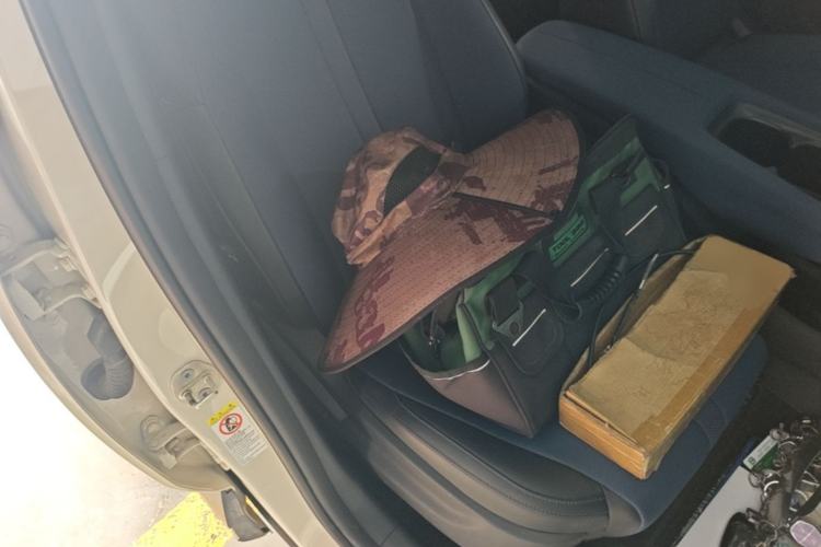 Used BYD Seagull 2023 Flying Edition Right Front Seat
