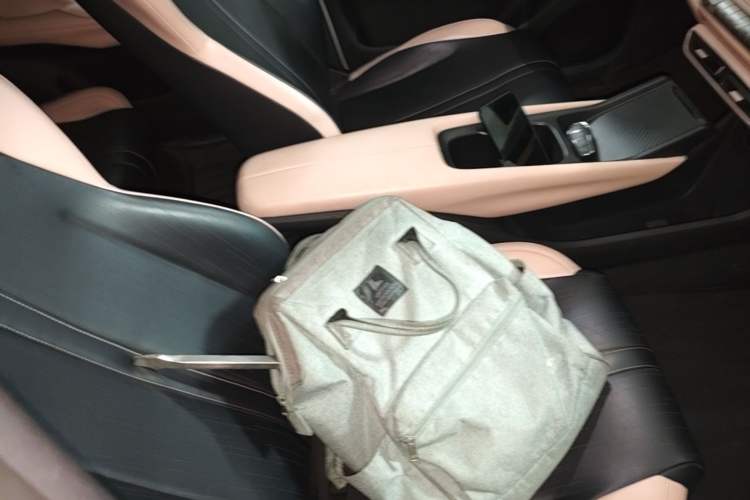 Used BYD Seagull 2023 Active Version Right Front Seat