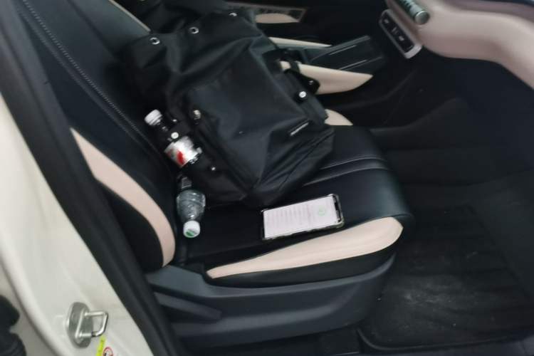 Used BYD Seagull 2023 Flying Edition Right Front Seat