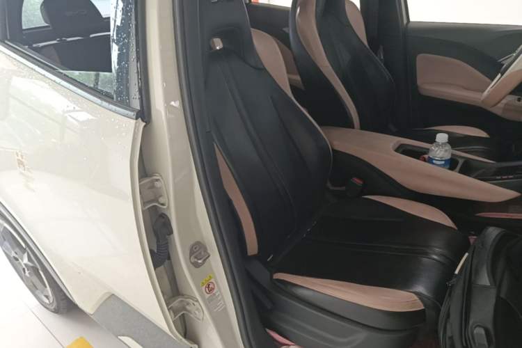 Used BYD Seagull 2023 Flying Edition Right Front Seat