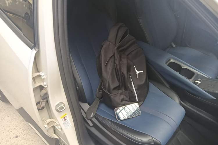 Used BYD Seagull 2023 Flying Edition Right Front Seat