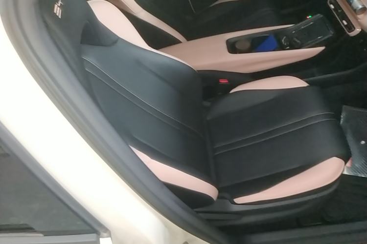 Used BYD Seagull 2023 Flying Edition Right Front Seat
