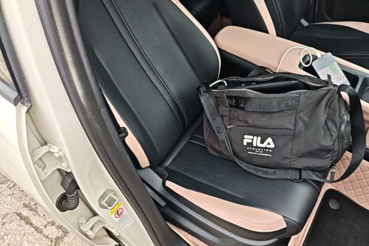 Used BYD Seagull 2023 Flying Edition Right Front Seat