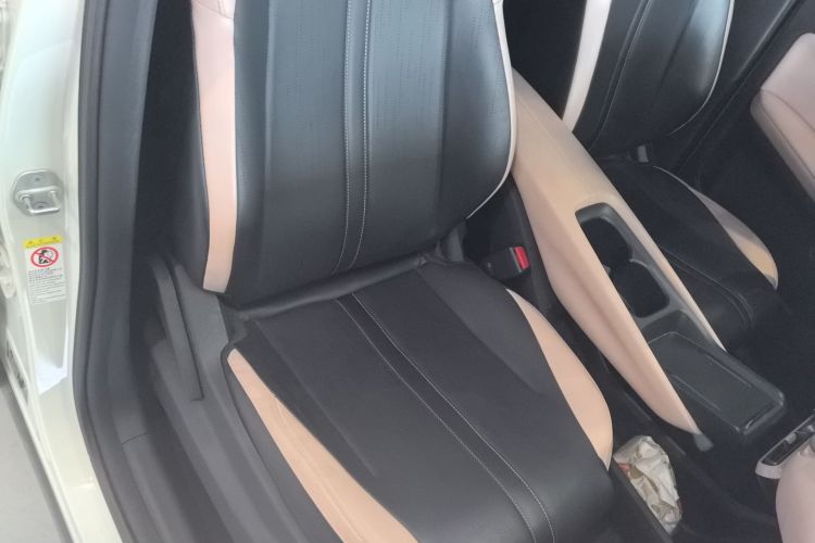 Used BYD Seagull 2023 Flying Edition Right Front Seat