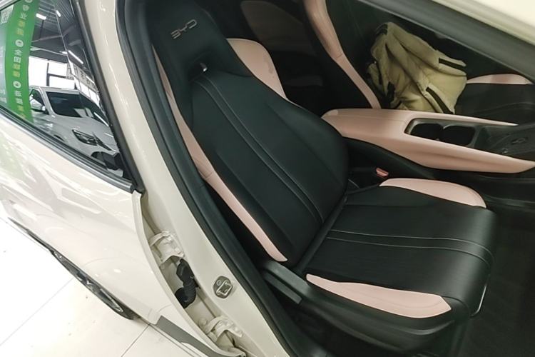 Used BYD Seagull 2023 Free Edition Right Front Seat