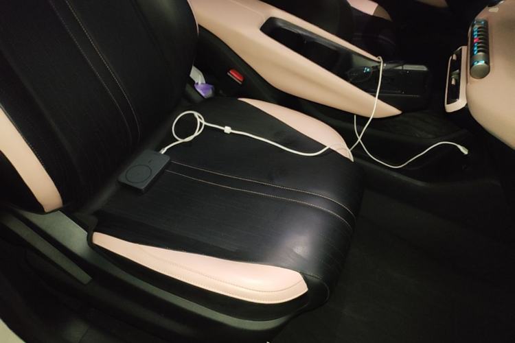 Used BYD Seagull 2023 Flying Edition Right Front Seat