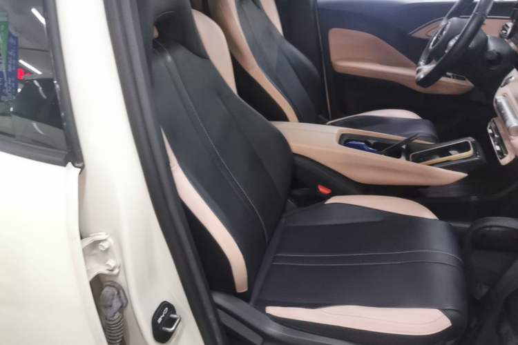 Used BYD Seagull 2023 Free Edition Right Front Seat