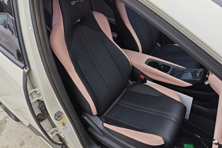 Used BYD Seagull 2023 Flying Edition Right Front Seat
