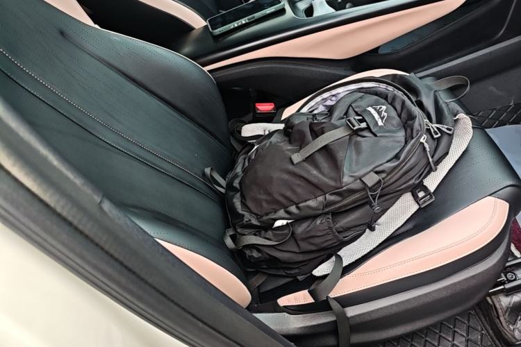 Used BYD Seagull 2023 Free Edition Right Front Seat