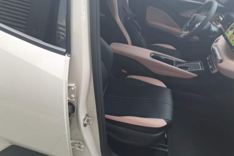 Used BYD Seagull 2023 Active Version Right Front Seat