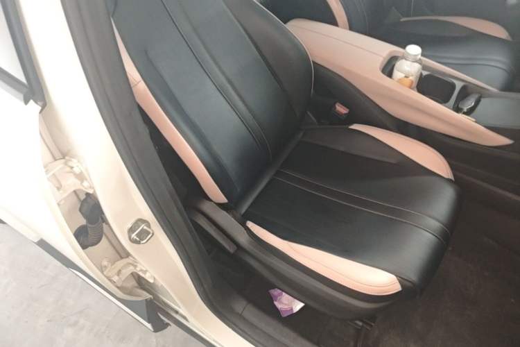 Used BYD Seagull 2023 Active Version Right Front Seat