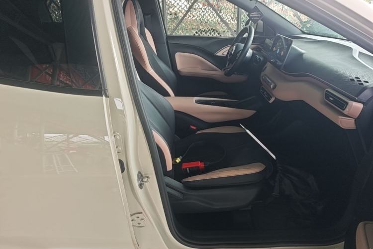 Used BYD Seagull 2023 Free Edition Right Front Seat